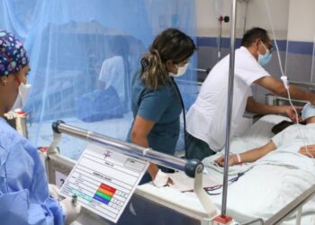 Dengue cobró la vida de un niño en Ibagué