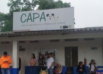 Animales del Capa no tienen comida por el exsecretario de Gobierno: Javier Mora