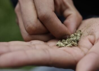 Prohibido el consumo y distribución de sustancias psicoactivas, incluyendo la dosis personal, en El Espinal
