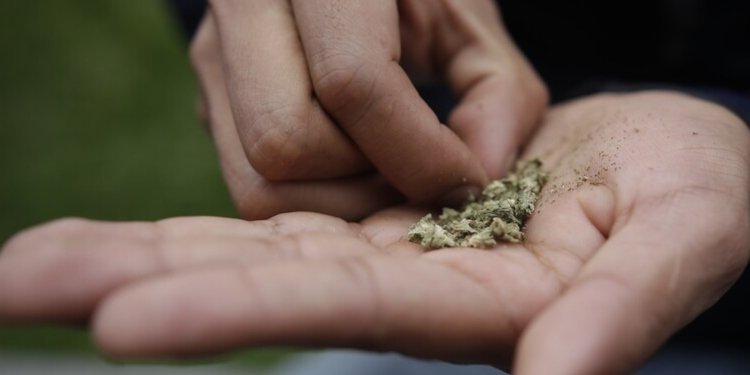 Prohibido el consumo y distribución de sustancias psicoactivas, incluyendo la dosis personal, en El Espinal