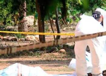 Adulto mayor fue asesinado en zona rural de Chaparral