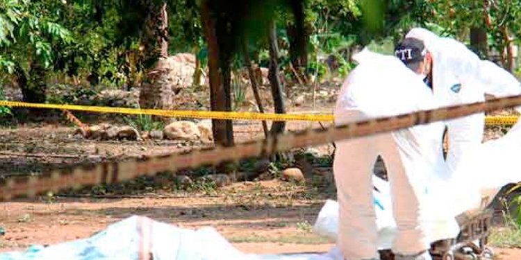 Adulto mayor fue asesinado en zona rural de Chaparral