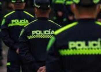 ”La Policia si puede ayudar a aumentar el pie de fuerza en el Tolima pero si tienen movilidad”: Secretario de Seguridad