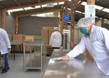 MinHacienda entrega buenas noticias para los trabajadores colombianos en 2024