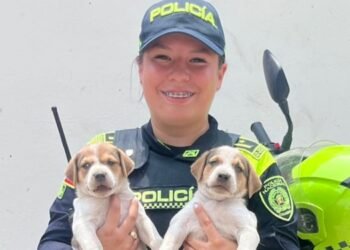 Lulú y sus cachorros ya tienen nuevo hogar
