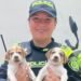 Lulú y sus cachorros ya tienen nuevo hogar