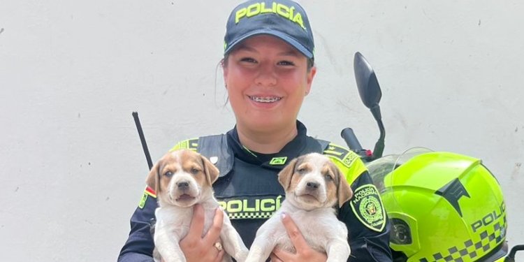 Lulú y sus cachorros ya tienen nuevo hogar