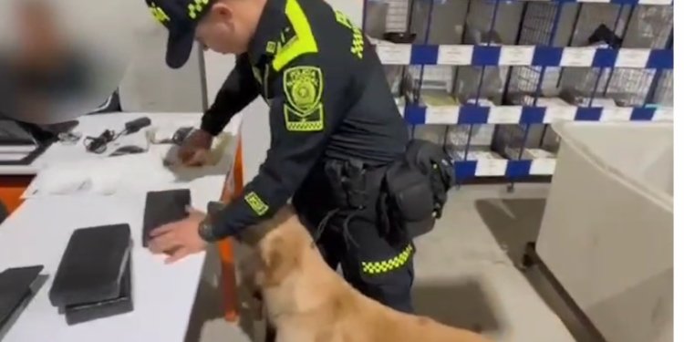 Jeffry olfateó encomienda de base de coca