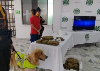 Reclamó colchón que tenía 21 kilos de marihuana camuflados en su interior