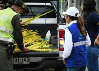 Recuerde preservar la Palma de Cera y evitar su comercialización 