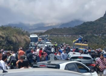 Conozca las recomendaciones de las autoridades del Tolima a los viajeros “No deben tocar los frailejones, no deben ingresar al parque”