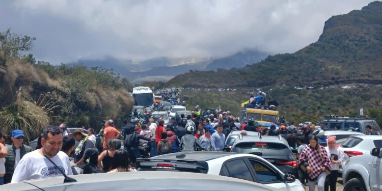 Conozca las recomendaciones de las autoridades del Tolima a los viajeros “No deben tocar los frailejones, no deben ingresar al parque”