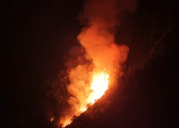 15 hectáreas de vegetación fueron consumidas por las llamas en Roncesvalles