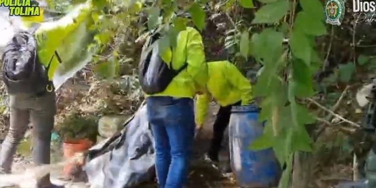 Destruyeron laboratorio de cocaína en el sur del Tolima 