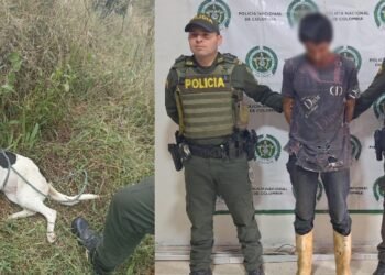 Sorprendido sujeto agrediendo a su perrita ‘Pinina’, la cual fue rescatada por la Policía Metropolitana de Ibagué