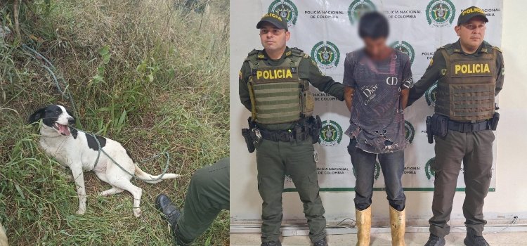 Sorprendido sujeto agrediendo a su perrita ‘Pinina’, la cual fue rescatada por la Policía Metropolitana de Ibagué