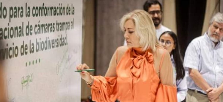 Olga Lucía Alfonso es la nueva presidenta de la Junta Directiva de Asocars