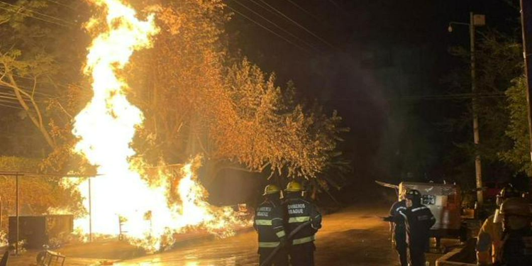 Cinco incendios forestales se presentaron en las últimas horas en la ciudad