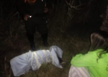 Hallaron a perrito muerto y embolsado en Ibagué