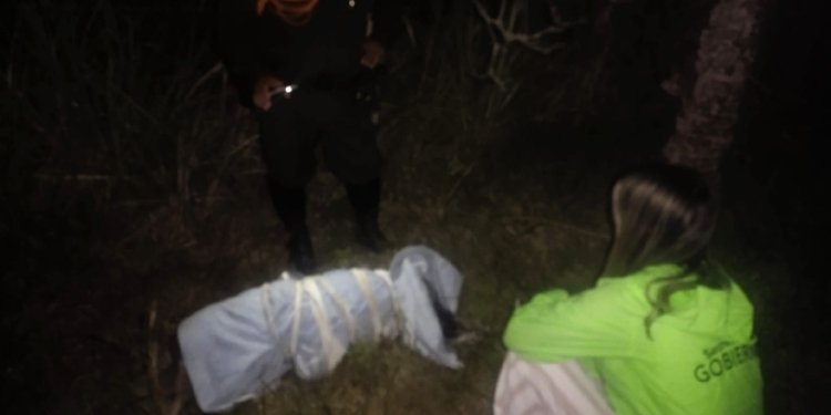 Hallaron a perrito muerto y embolsado en Ibagué