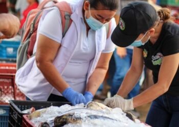 Las plazas de mercado fueron inspeccionadas por la Secretaría de Salud Municipal