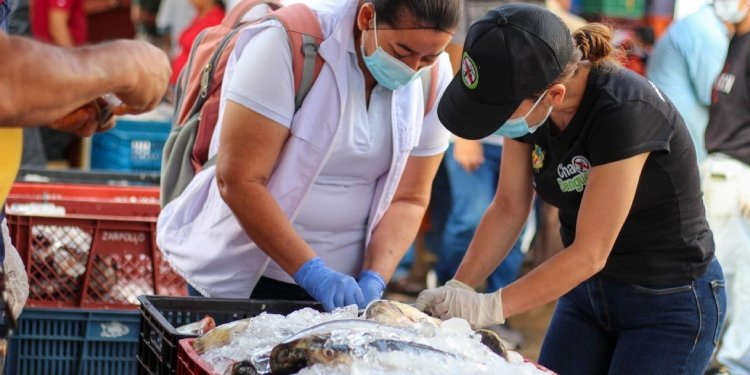 Las plazas de mercado fueron inspeccionadas por la Secretaría de Salud Municipal