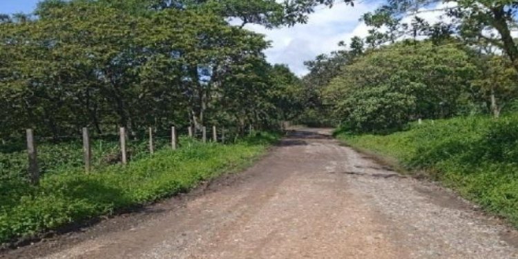 Gobernación anuncia la pavimentación de la vía Prado, Dolores, Purificación