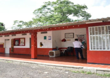 ¡Vuelve y Juega! Volvieron a abandonar a un perrito bajo la modalidad de domicilio en el CAPA