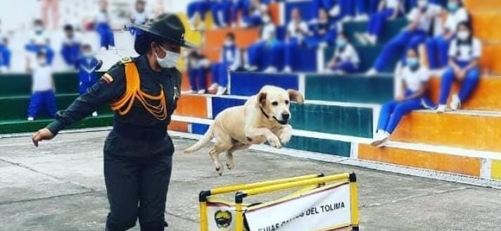 Se pensiona Kiara canina integrante de la Policía del Tolima