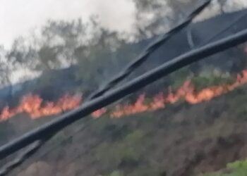 Incendios forestales azotan al Oriente tolimense
