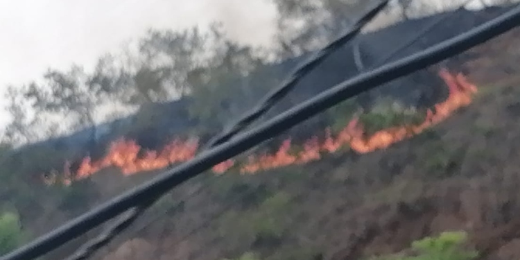 Incendios forestales azotan al Oriente tolimense