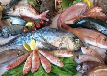 Variedad y tradición: los pescados más consumidos durante Semana Santa en Colombia