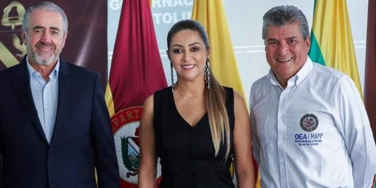 Misión de la OEA  hará presencia en consejo de seguridad en planadas este 3 de abril