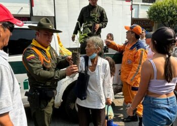 Policía adelanta campaña para evitar la comercialización de palma de cera