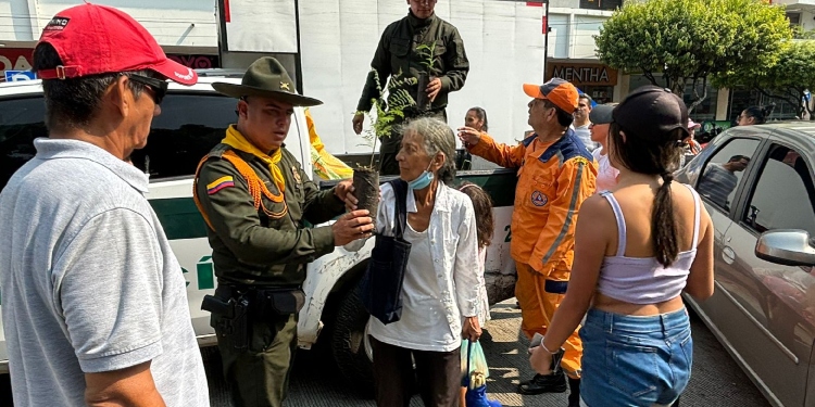 Policía adelanta campaña para evitar la comercialización de palma de cera