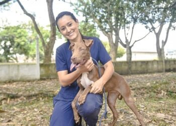 Este sábado 4 de mayo habrá una jornada de bienestar animal en Ibagué