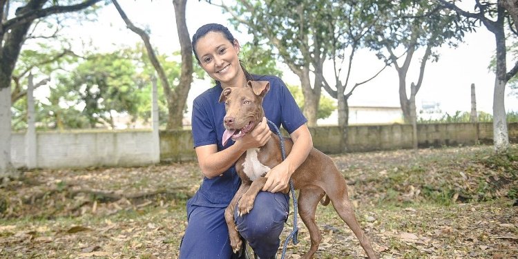 Este sábado 4 de mayo habrá una jornada de bienestar animal en Ibagué