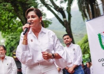 Levantamiento del César fuego en Huila y Tolima, tema central del consejo de seguridad