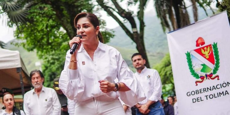 Levantamiento del César fuego en Huila y Tolima, tema central del consejo de seguridad