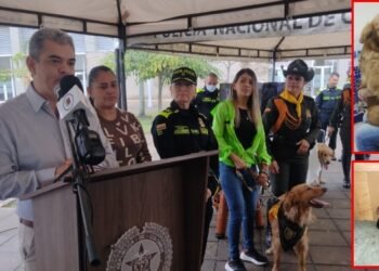 Kihara la canina raptada luego del homicidio de Jey, su amo en Bogotá 