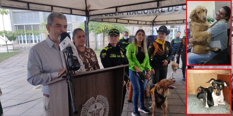 Kihara la canina raptada luego del homicidio de Jey, su amo en Bogotá 