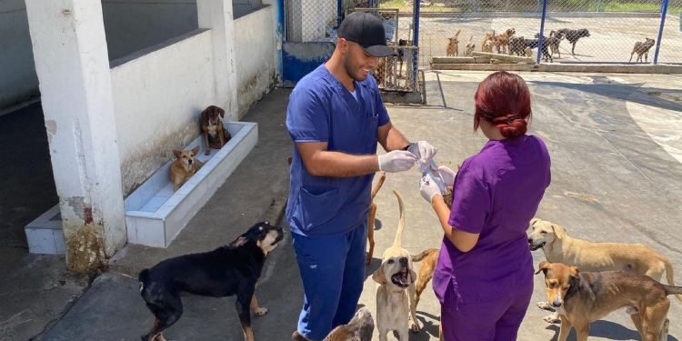 Obras del Megacapa están avanzadas y ya tiene permiso de la ANI