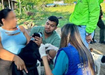 Dos perritos que resultaron heridos en un ataque contra una familia fueron atendidos por  el CAPA