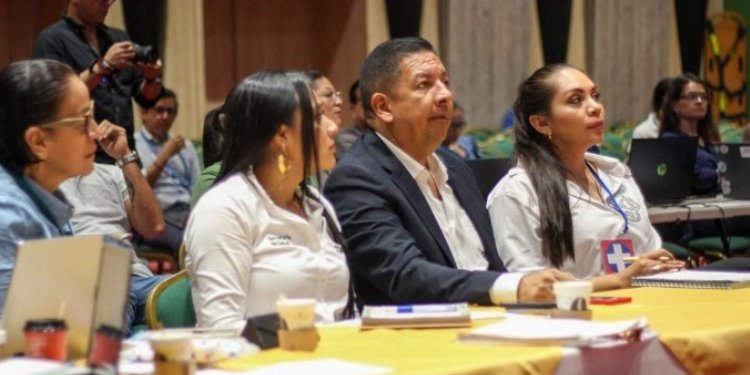 Alcaldía se reunió con el Ministerio de Salud para luchar contra el dengue en Ibagué