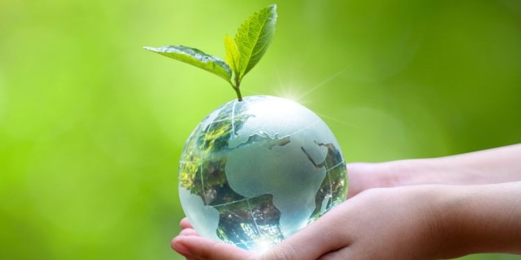 Día de la Tierra: Origen y Significado de una Celebración Mundial