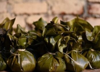 Alcaldía desmiente convocatoria para el Día del Tamal 