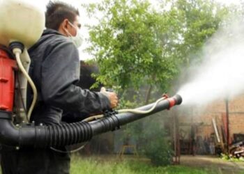 Inicia la fumigación contra el mosquito transmisor del dengue en Ibagué