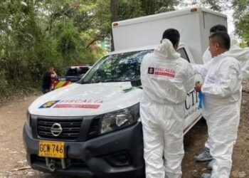 Perrito encontró a un hombre asesinado en zona rural de Ibagué 