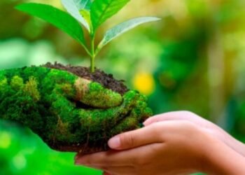 Consejos para contribuir al cuidado del planeta desde casa