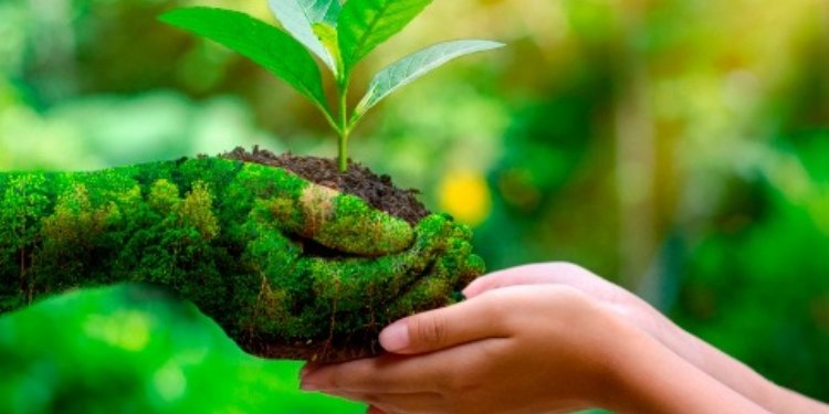 Consejos para contribuir al cuidado del planeta desde casa